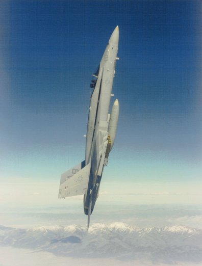 Hornet